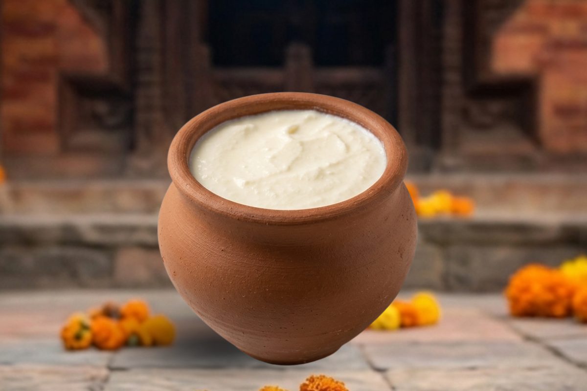 The Legendary King of Yogurt Juju Dhau